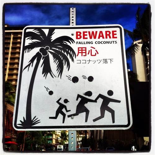 DudArea's profile picture. Soldier