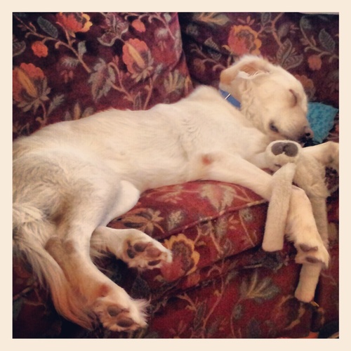 nannyme1's profile picture. 