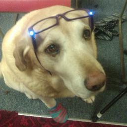 @PontypoolBrass Mascot!
I also play a bit of bass drum... but that's when i'm not sleeping through rehearsals.