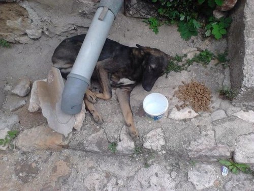 shepres6385's profile picture. I