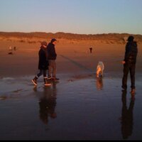 Delattre Roux (@brigitte_roux) 's Twitter Profile
