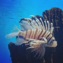 Cecil Lee - @CecilLee525 - Twitter