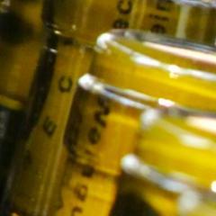 weingut_heck's profile picture. Ihr Weingut in