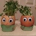 Mr&MrsLaughingCress (@mr_mrscress) Twitter profile photo Mr&MrsLaughingCress (@mr_mrscress) Twitter profile photo
