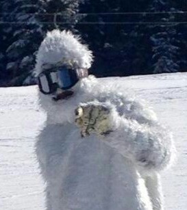 irvuss's profile picture. 'Aint it ridiculous