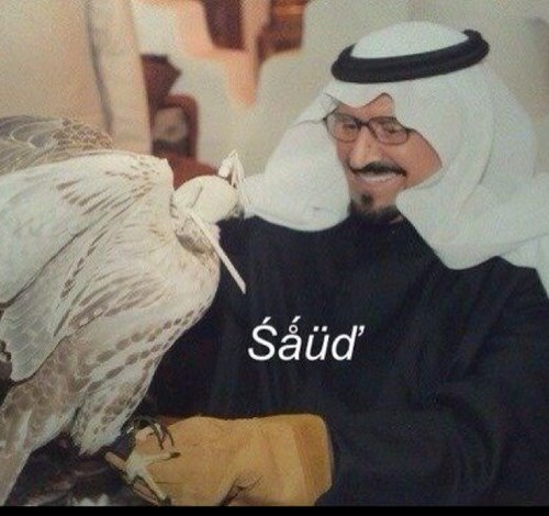 سبحان الله وبحمده سبحان الله العظيم