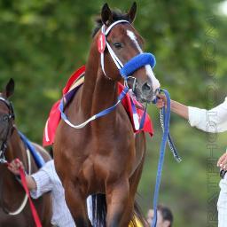 Amante de los caballos de carrera y las carreras de caballos,Propietario del stud Manning,Hincha de Chespirito y Peyton Manning,enamorado de las apuestas depor