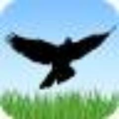 NavitelAndroid's profile picture. 