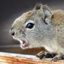 Sean Cusack - @AftermathOfSean - Twitter