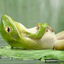 Nancy Bull - @NanBull3 - Twitter