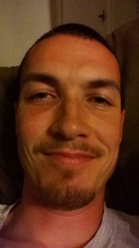 timnics's profile picture. 