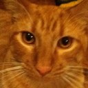 Benjamin C Brown - @BenJammerBrown - Twitter