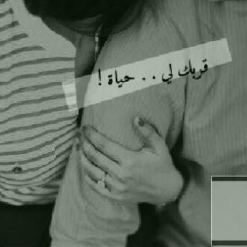 ask me☺