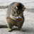 DavidVB31's profile image