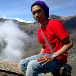 Vision, Action, Passion,and Collaboration ---» 2013