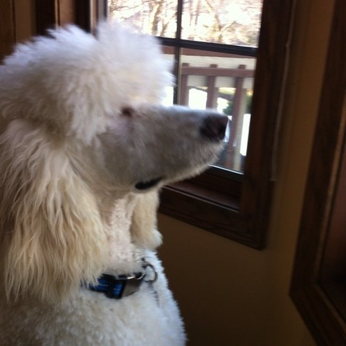 ss2954's profile picture. 