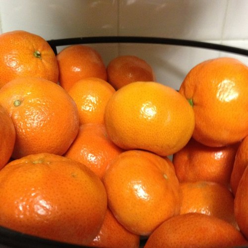 SingerDelia's profile picture. 