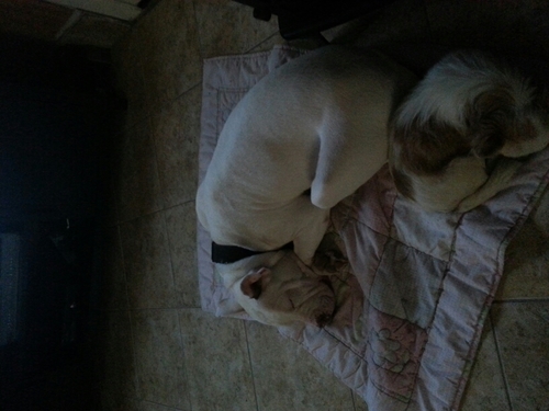 spacerace38's profile picture. 