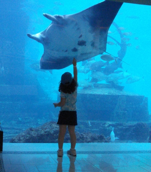 AlanWener's profile picture. 