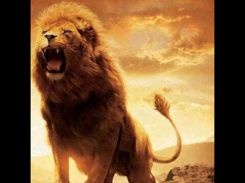 dullis900's profile picture. si me conoses seguirme y sino también seguime xd