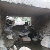 Lissette Castro (@morenacast) 's Twitter Profile