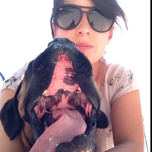 SandritsLopez's profile picture. 