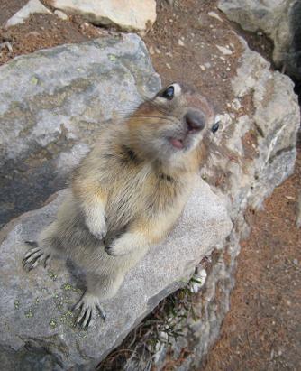 chalkegh's profile picture. 良いと思ったものは取りあえず何でも聴くし観るし読みます。音楽は洋rockやらhiphopやら。アングラなものからメジャーなものまで何でも！