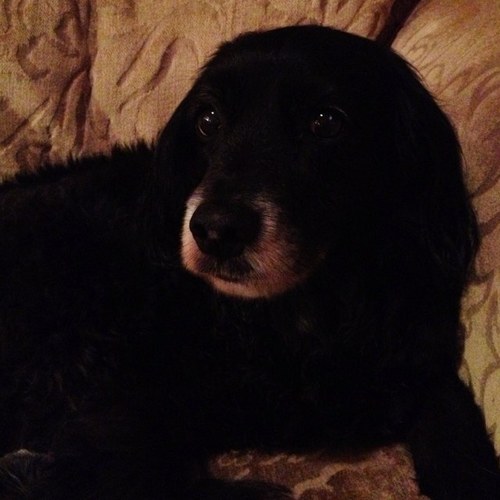 SamanthaMead8's profile picture. 