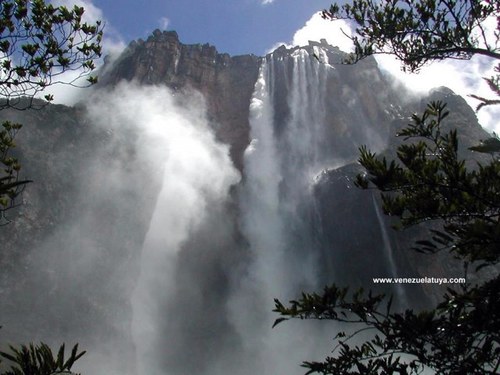 juliomeca's profile picture. 