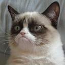 William Bulman - @lolcop6 - Twitter