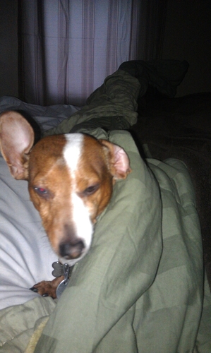 Mork252's profile picture. 