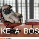 Ben castaneda - @Bencastaneda1 - Twitter