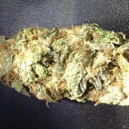 Showcasing marijuana misinformation. Spreading Marijuana Truths.