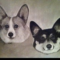 Guido Pinamonti (@guidopinamonti) Twitter profile photo