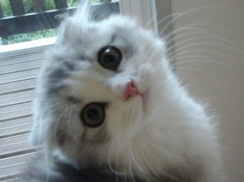 ysev5wati's profile picture. 人生は楽しむためにある！だから、楽しいと思う事だけをやって生きてます。やりたい事いっぱいあるんで、優先順位付けてやってます。いずれは、全部やります！！