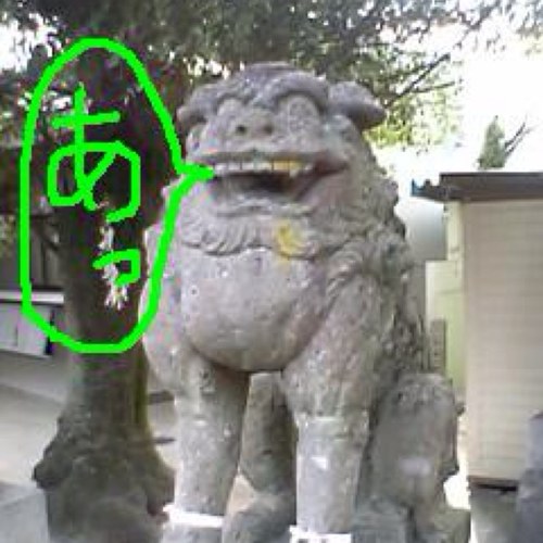 こまのあさんのプロフィール画像
