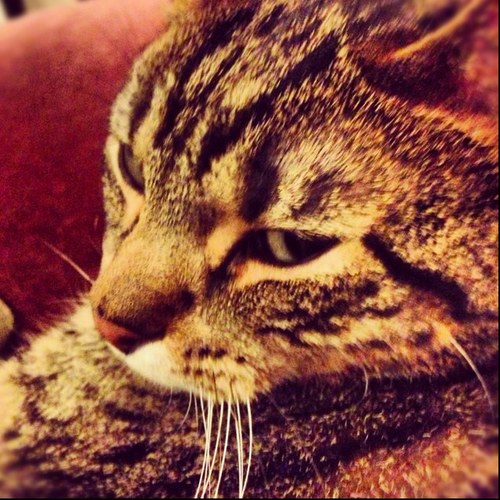 Jonmarke's profile picture. 