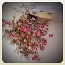 Roscoe Roger - @RoscoeRoger206 - Twitter