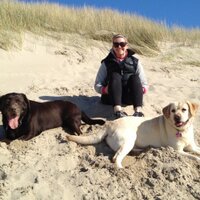 Vanessa Wilson (@uberchicks) 's Twitter Profile
