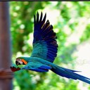 sara martinelli - @martisara - Twitter