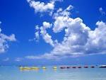 海外セレブLOVE?