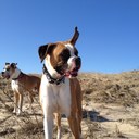 Edward Cisek - @edcisek - Twitter