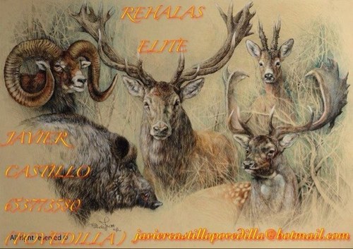 Rehalaselite's profile picture. Vivir solo y en exclusivo para la caza. REHALAS ELITE Povedilla(AB)