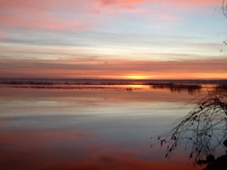 jasoule's profile picture. 