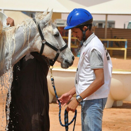 Ali_8006's profile picture. قال رسول الله صلى الله عليه و سلم : لأن أقول : سبحان الله والحمد لله ولا إله إلا الله والله أكبر أحب إلي مما طلعت عليه الشمس - رواه مسلم