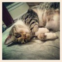 Asa Perry - @AsaPerry939 - Twitter