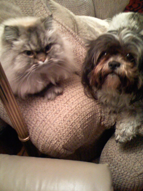 juboxman's profile picture. 