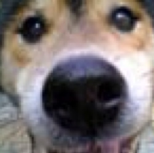 teruhito's profile picture. 