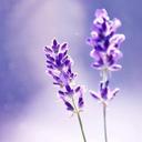 Aileen Chou - @AileenChou90 - Twitter