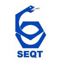 SEQT(@SocEspQuimTerap) 's Twitter Profile Photo